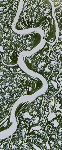 The letter S seen from orbit at Mackenzie River
