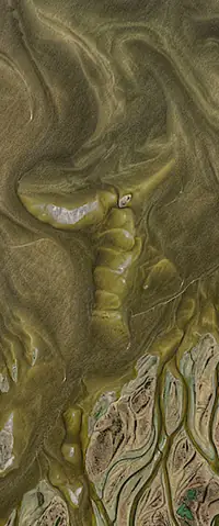 The letter T seen from orbit at Lena River Delta