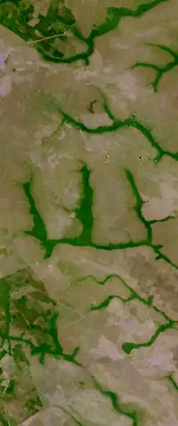 The letter W seen from orbit at La Primavera, Colombia